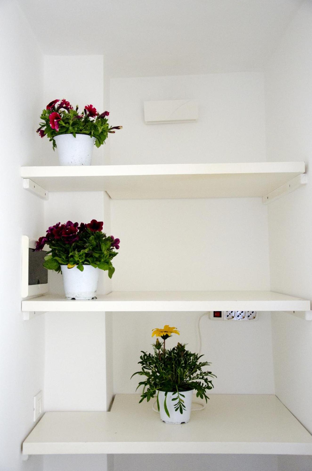 Athena Apartment Bari